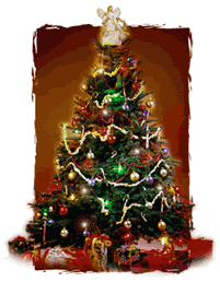 le sapin